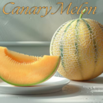 Canary Melon