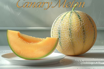 Canary Melon