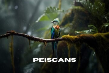 peiscans