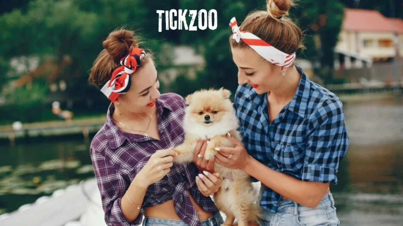 Explore, Learn, Be Amazed: Tickzio